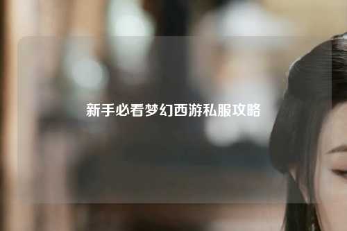 新手必看夢(mèng)幻西游私服攻略