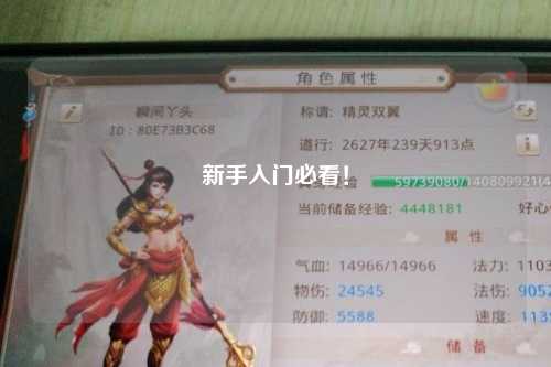 新手入門(mén)必看！