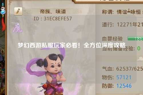 夢(mèng)幻西游私服玩家必看！全方位深度攻略