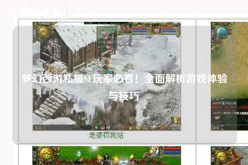 夢(mèng)幻西游私服SF玩家必看！全面解析游戲體驗與技巧