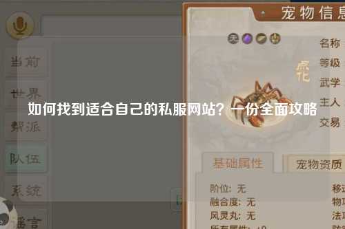 如何找到適合自己的私服網(wǎng)站？一份全面攻略