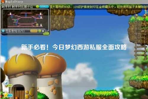 新手必看！今日夢(mèng)幻西游私服全面攻略