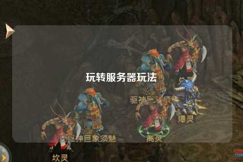 玩轉(zhuǎn)服務(wù)器玩法