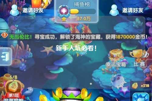 新手入坑必看！