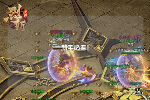 新手必看！