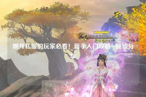 剛開私服的玩家必看！新手入門攻略+經(jīng)驗(yàn)分享
