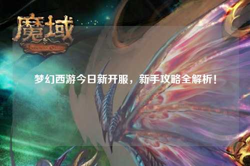 夢幻西游今日新開服，新手攻略全解析！